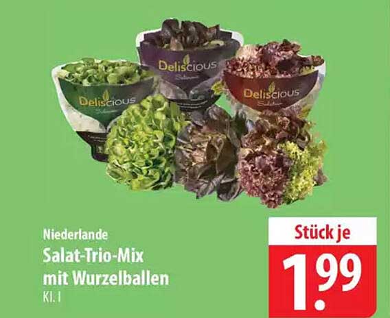 Salat-Trio-Mix mit Wurzelballen