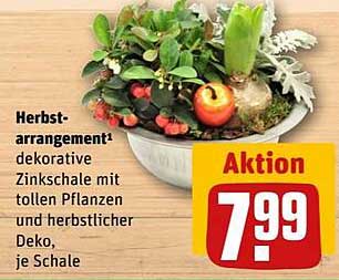 Herbstarrangement dekorative Zinkschale mit tollen Pflanzen und herbstlicher Deko