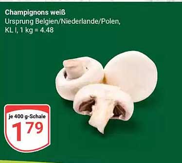 Champignons weiß