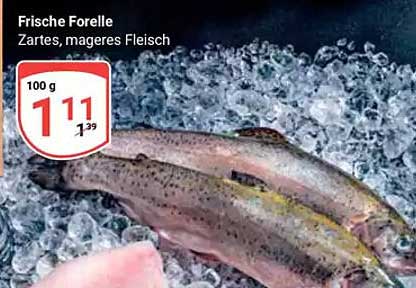 Frische Forelle