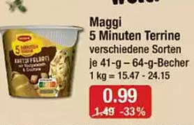 Maggi 5 Minuten Terrine