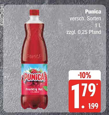 Punica