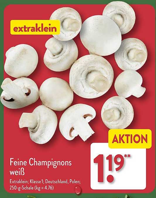 Feine Champignons weiß