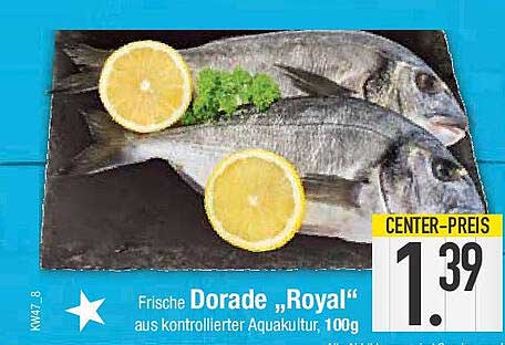 Frische Dorade „Royal“