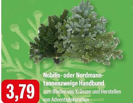 Nobilis- oder Nordmanntannen Zweige Handbund