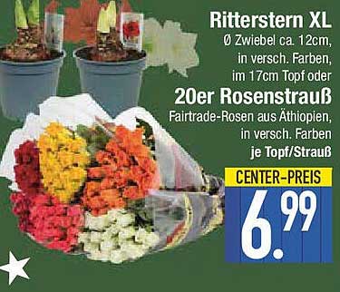 Ritterstern XL  
20er Rosenstrauß  