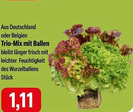 Trio-Mix mit Ballen