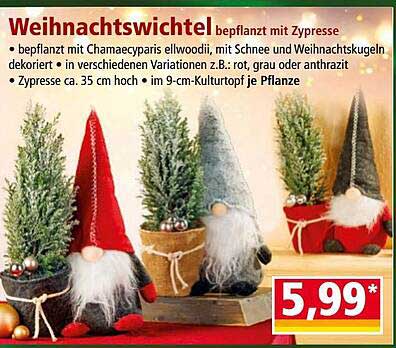 Weihnachtswichtel