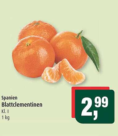 Blattclementinen