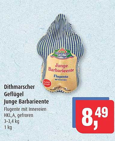 Dithmarscher Geflügel Junge Barbariente