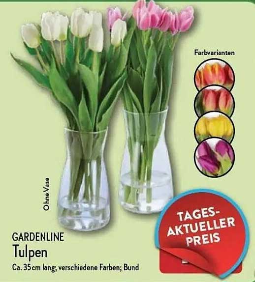 GARDENLINE Tulpen