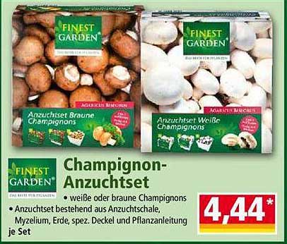 Champignon-Anzuchtset