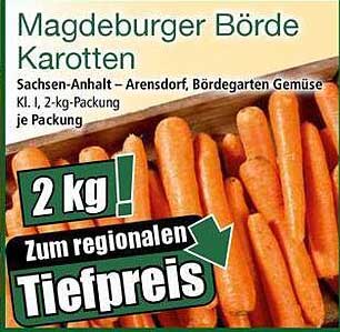 Magdeburger Börde Karotten