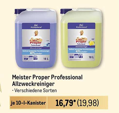 Meister Proper Professional Allzweckreiniger