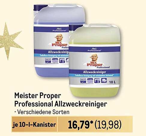 Meister Proper Professional Allzweckreiniger