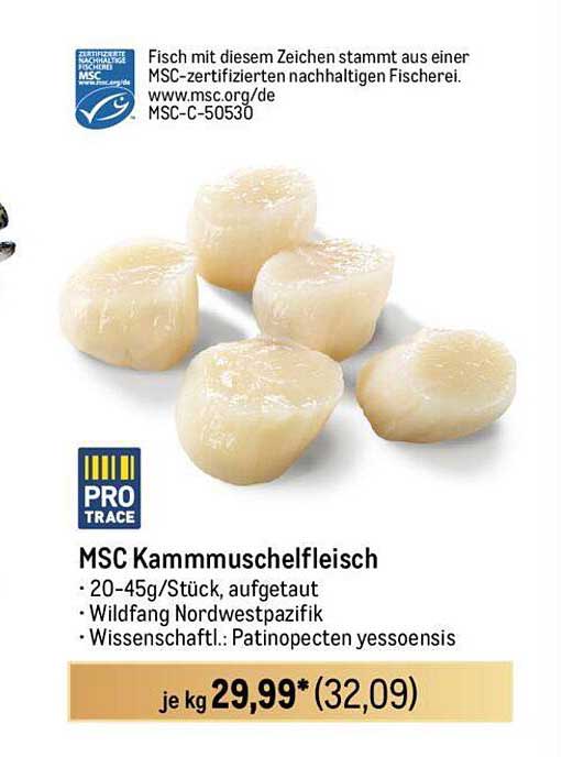 MSC Kammmuschelfleisch