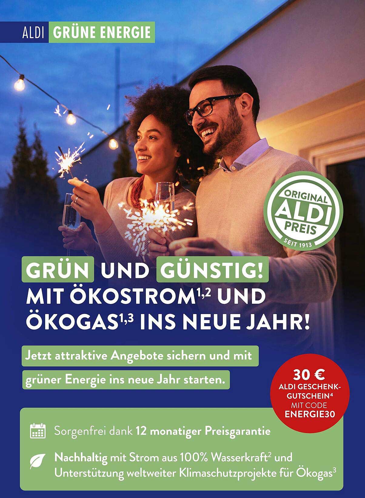 GRÜN UND GÜNSTIG! MIT ÖKOSTROM UND ÖKOGAS INS NEUE JAHR!