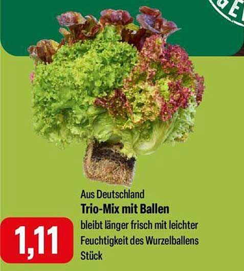 Trio-Mix mit Ballen