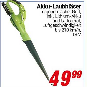 Akku-Laubbläser