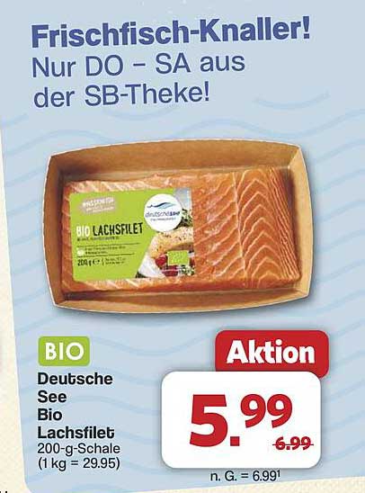 Bio Lachsfilet