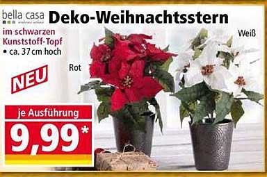 Deko-Weihnachtsstern