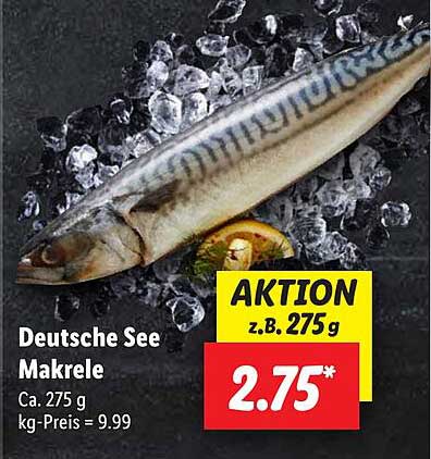 Deutsche See Makrele