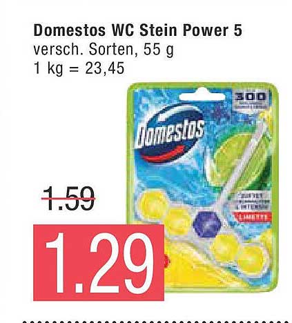 Domestos WC Stein Power 5