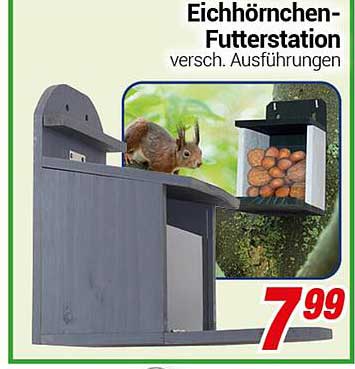 Eichhörnchen-Futterstation