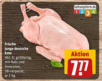 Frische junge deutsche Ente