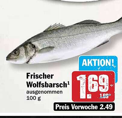 Frischer Wolfsbarsch