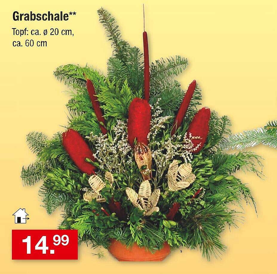 Grabschale