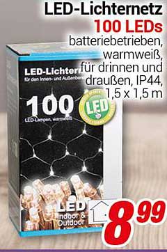 LED-Lichternetz 100 LEDs