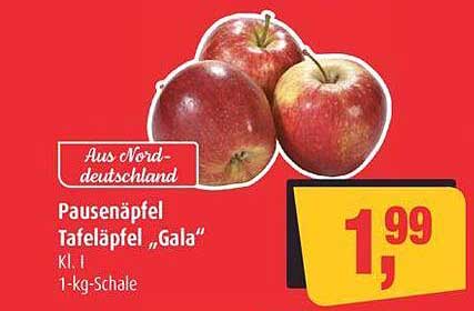 Pausenäpfel Tafeläpfel „Gala“