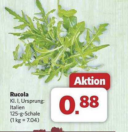 Rucola