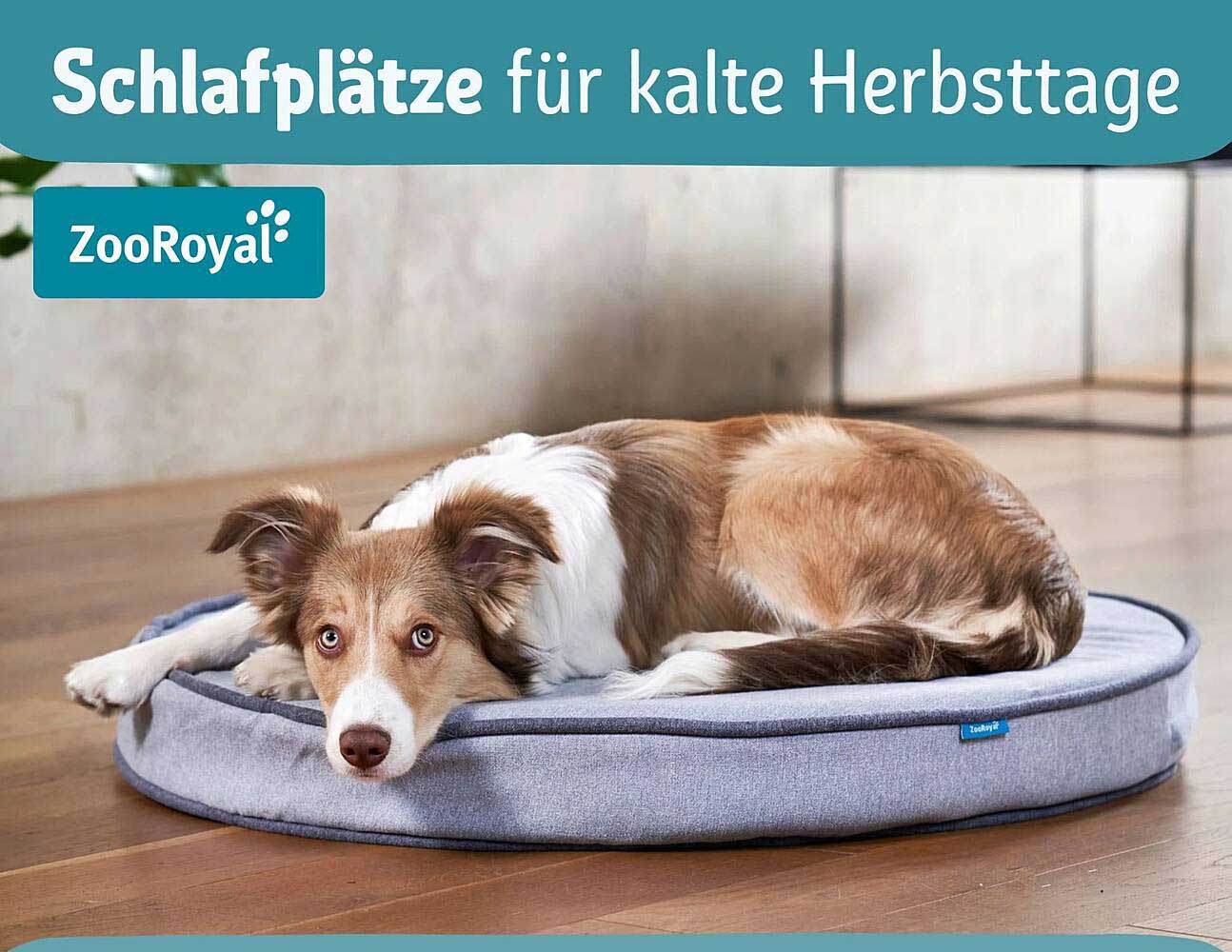 Schlafplätze für kalte Herbsttage