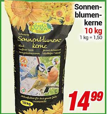 Sonnenblumenkerne