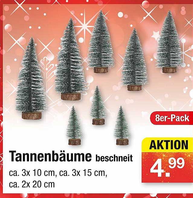 Tannenbäume beschneit