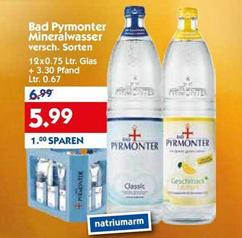 Bad Pyrmonter Mineralwasser versch. Sorten