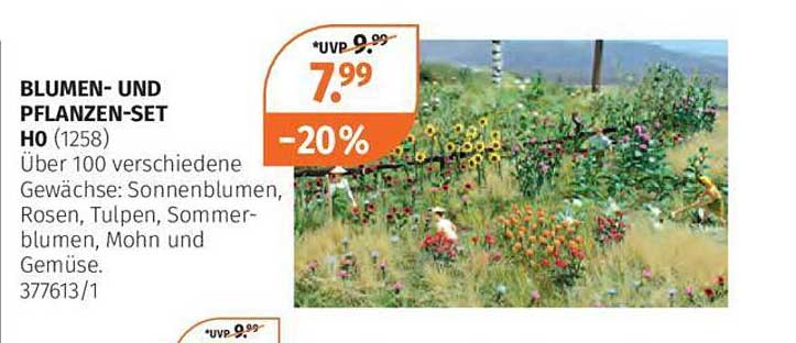 BLUMEN- UND PFLANZEN-SET HO