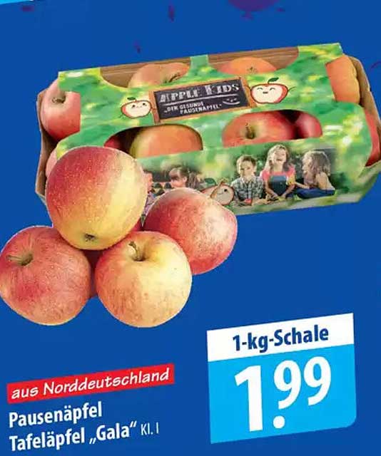 Pausenäpfel Tafeläpfel „Gala“