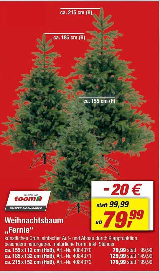 Weihnachtsbaum „Fernie“