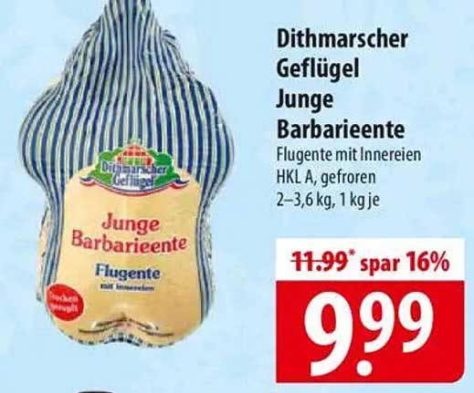 Dithmarscher Geflügel Junge Barbariente