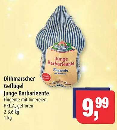 Dithmarscher Geflügel Junge Barbariente