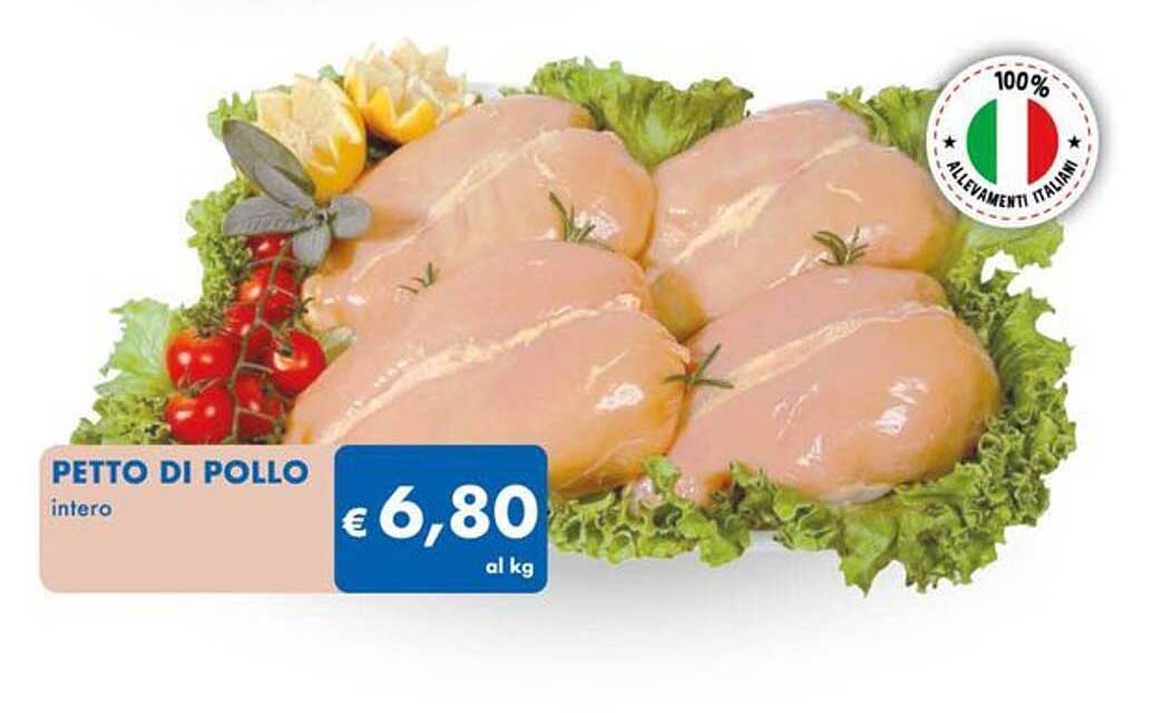 PETTO DI POLLO