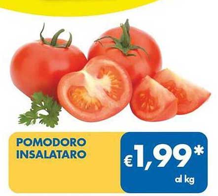 POMODORO INSALATARO