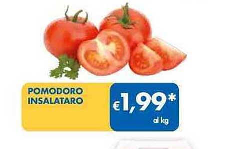 POMODORO INSALATARO