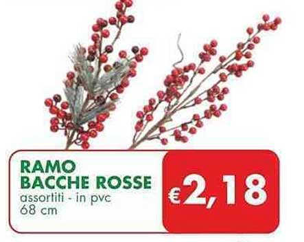 RAMO BACCHE ROSSE