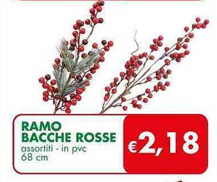 RAMO BACCHE ROSSE