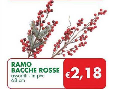 RAMO BACCHE ROSSE