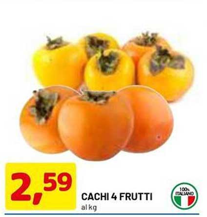 CACHI 4 FRUTTI